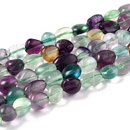 Natural Fluorite Beads Strands, Nuggets, Tumbled Stone, 8~11x7.5~9x4.5~7mm, Hole: 0.8mm, about 42pcs/strand, 15.94''(40.5cm)(G-G018-61A)