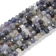 Natural Iolite Beads Strands, Faceted, Rondelle, 3.5~4x3mm, Hole: 0.7mm, about 127~132pcs/strand, 14.96~15.16''(38~38.5cm)(G-G139-B11-01)