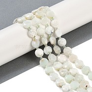 Natural Green Opal Beads Strands, Faceted Pentagonal Cut, Flat Round, with Seed Beads, 10~10.5x5~6mm, Hole: 1mm, about 32~33pcs/strand, 15.75''(40cm)(G-C116-A13-01A)