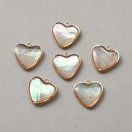 Natural Shell Pendants, with Golden Resin and Brass Findings, Heart Pattern, 15x15x3.4mm, Hole: 1.4mm(BSHE-TAC0001-02B)