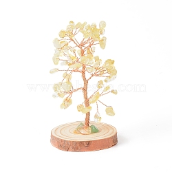 Natural Yellow Quartz Chips with Brass Wrapped Wire Money Tree on Wood Base Display Decorations, for Home Office Decor Good Luck, 51.5~75x115mm(DJEW-B007-05F)