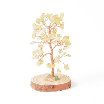 Natural Yellow Quartz Chips with Brass Wrapped Wire Money Tree on Wood Base Display Decorations, for Home Office Decor Good Luck, 51.5~75x115mm