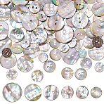 96Pcs 6 Styles Natural Shell Buttons, 2-Hole, Flat Round, Colorful, 10~20x2~3mm, Hole: 1.6~2mm, 16pcs/style(BUTT-PH0001-45)