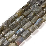 Natural Labradorite Beads Strands, with Seed Beads, Faceted Column, 9~11x6~7.5x6~7.5mm, Hole: 1.2mm, about 30pcs/strand, 15.16~15.55 inch(38.5~39.5cm)(G-G068-A10-01)