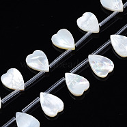 Natural White Shell Beads Strands, Heart, 13.5x10x2mm, Hole: 0.5~0.7mm, about 20pcs/strand, 12.56 inch(31.9cm)(SSHEL-S278-121B-01B)