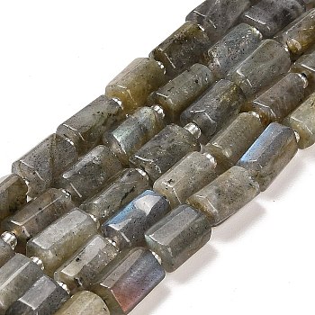 Natural Labradorite Beads Strands, with Seed Beads, Faceted Column, 9~11x6~7.5x6~7.5mm, Hole: 1.2mm, about 30pcs/strand, 15.16~15.55 inch(38.5~39.5cm)