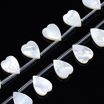 Natural White Shell Beads Strands, Heart, 13.5x10x2mm, Hole: 0.5~0.7mm, about 20pcs/strand, 12.56 inch(31.9cm)
