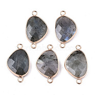 Natural Labradorite Links/Connectors, Light Gold Tone Brass Edge, Faceted Teardrop, 29.5x16.5x4.5mm, Hole: 2mm(G-T131-105)