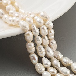 Natural Keshi Pearl Cultured Freshwater Pearl Beads Strands, Baroque Pearls, Two Sides Polished, Grade 3A+, PapayaWhip, 5~5.5mm, Hole: 0.7mm, about 24pcs/strand, 6.69 inch(17cm)(PEAR-P062-34)