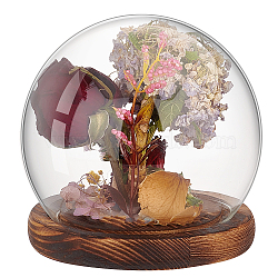 Round Glass Dome Cover, Decorative Display Case, Cloche Bell Jar Terrarium with Wood Base, Clear, 120x115mm(AJEW-WH0513-65)