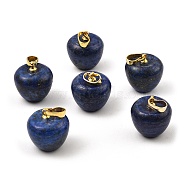 Dyed Natural Lapis Lazuli Teacher Apple Charms, with Golden Plated Brass Snap on Bails, 14.5x14mm, Hole: 6.5x4mm(G-Z022-02H-G)