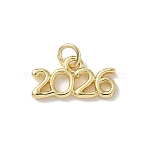 Brass Pendants, Number 2026, Rack Plating, Long-Lasting Plated, Lead Free & Cadmium Free, Real 18K Gold Plated, 8.5x16.5x2mm(KK-A273-20G)