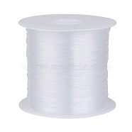 Nylon Wire, Clear, Size: about 0.45mm in diameter, about 32.8 yards(30m)/roll(X-NWIR-R0.45MM)