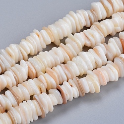 Natural Freshwater Shell Beads Strands, Shell Shards, Chip, White, 6~10x5~7x1.5~2.5mm, Hole: 1.2mm, about 190pcs/strand, 15.75 inch(40cm)(X-SHEL-D078-01B)