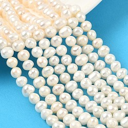 Natural Cultured Freshwater Pearl Beads Strands, Potato, Seashell Color, 6~7mm, about 56~60pcs/strand, 13.39''~13.78''(34~35cm)(PEAR-RM241213-2)