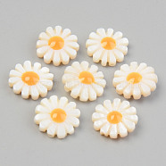 Natural Freshwater Shell Chandelier Charms, Flower, Seashell Color, 12.5x4.5mm, Hole: 1mm(X-SHEL-T017-37)