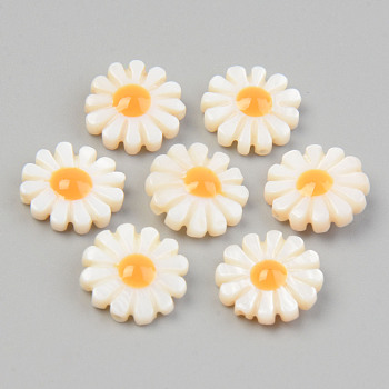 Natural Freshwater Shell Chandelier Charms, Flower, Seashell Color, 12.5x4.5mm, Hole: 1mm