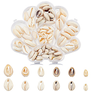 6 Styles Natural Mixed Cowrie Shell Beads, Cowrie Shells, No Hole, Mixed Color, 12~28x7~20x3~9mm; about 83pcs/box(BSHE-HY0001-01)