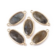 Natural Labradorite Links connectors, with Brass Findings, Faceted, Oval, Golden, 28~28.5x12x5mm, Hole: 1.6mm(G-E526-27D)