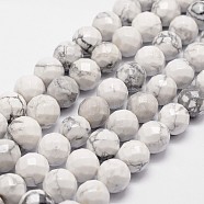 Natural Howlite Beads Strands, Faceted, Round, 6mm, Hole: 1mm, about 61pcs/strand, 14.9 inch~15.1 inch(G-G736-25-6mm)