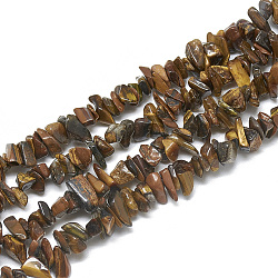 Natural Tiger Eye Beads Strands, Chip, 3~11x3~5x1~4mm, Hole: 1mm, about 380~400pcs/strand, 33 inch(X-G-S315-11)