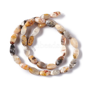Natural Crazy Agate Beads Strands(G-L243B-20)-3