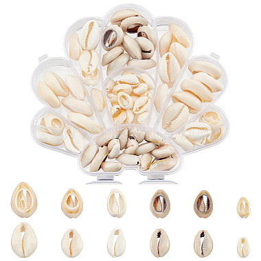 Mixed Color Shell Shape Cowrie Shell Beads