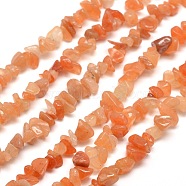 Natural Red Aventurine Chip Bead Strands, 5~8x5~8mm, Hole: 1mm, about 31.5 inch(G-M205-10A)
