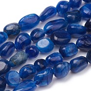 Natural Kyanite/Cyanite/Disthene Beads Strands, Nuggets, Tumbled Stone, 5~10x4~5x3~4mm, Hole: 0.8mm, about 61pcs/strand, 15.35 inch(39cm)(X-G-L493-39B-01)