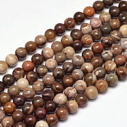 Natural Petrified Wood Round Bead Strands, 6mm, Hole: 1mm, about 63pcs/strand, 15 inch(G-F266-08-6mm)