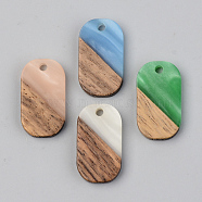Opaque Resin & Walnut Wood Pendants, Oval, Mixed Color, 20.5x11.5x3mm, Hole: 2mm(RESI-S389-023A-C)