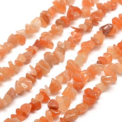 Natural Red Aventurine Chip Bead Strands, 5~8x5~8mm, Hole: 1mm, about 31.5 inch(G-M205-10A)