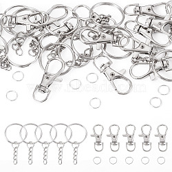 Key Ring Kits, with 30Pcs Alloy Swivel Lobster Claw Clasps, 30Pcs Iron Split Key Rings, 30Pcs Iron Open Jump Rings, Platinum(FIND-TA0011-17)