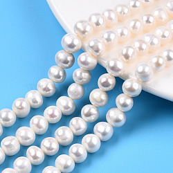 Natural Cultured Freshwater Pearl Beads Strands, Potato, Seashell Color, 7.5~8.5x7~8mm, Hole: 0.7mm, about 45pcs/strand, 13.39 inch(34cm)(PEAR-N013-07J)