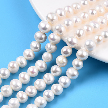 Natural Cultured Freshwater Pearl Beads Strands, Potato, Seashell Color, 7.5~8.5x7~8mm, Hole: 0.7mm, about 45pcs/strand, 13.39 inch(34cm)