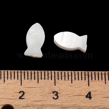 Natural Freshwater Shell Beads(SHEL-H003-06)-3