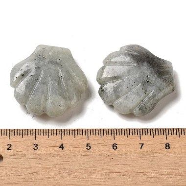 Natural Labradorite Carved Healing Shell Figurines(G-K353-03G)-3