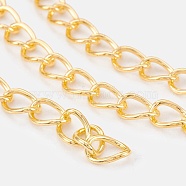 Iron Chains, Unwelded, Twisted Chains, Unwelded, Oval, with Spool, Lead Free & Nickel Free, Golden, 8x6x1mm(CH-DK1.0-G-FF)