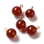 Natural Carnelian(Dyed & Heated) Pendants, Round Charms with Real 18K Gold Plated Brass Loops, 21x14mm, Hole: 3.4mm(FIND-C046-13B-G)