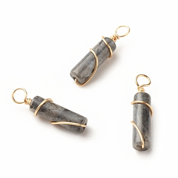 Natural Larvikite Pendants, with Light Gold Tone Eco-Friendly Copper Wire Wrapped, Column, 20~21x5~5.5mm, Hole: 2.3~2.8mm