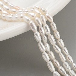 Natural Cultured Freshwater Pearl Beads Strands, Rice, Grade 5A, Snow, 2.5~3mm, Hole: 0.3mm, about 40~41pcs/strand, 7.48''~7.68''(19~19.5cm)(PEAR-P062-02C)