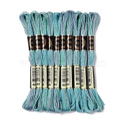 10 Skeins 6-Ply Polyester Embroidery Floss, Cross Stitch Threads, Segment Dyed, Cadet Blue, 0.5mm, about 8.75 Yards(8m)/skein(OCOR-K006-A30)