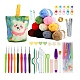 Crochet Kits with Yarn Set for Beginners Adults Kids(PW-WG76169-04)-1
