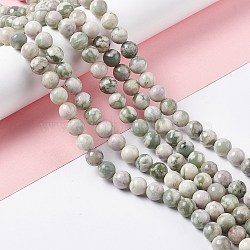 Natural Peace Jade Beads Strands, Round, 8mm, Hole: 1.2mm, about 46pcs/strand, 14.96 inch(38cm)(G-G905-07)