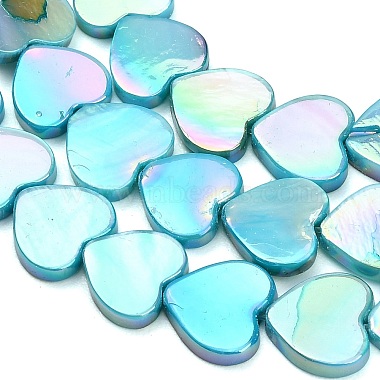 Natural Freshwater Shell Beads Strands(SH-CBA93AD-06A)-2