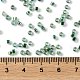 Glass Seed Beads(X-SEED-S042-13A-18)-4
