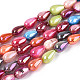 Natural Freshwater Shell Beads Strands(SHEL-N038-26)-1