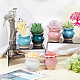 6Pcs 6 Colors Mini Ceramic Succulent Planter Pots(BOTT-NB0001-03)-5