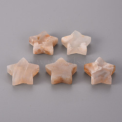 Natural Cherry Blossom Agate Home Display Decorations, Star, 30x31x10mm(X-G-T132-002A-13)