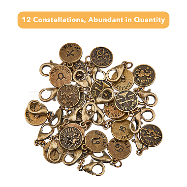 4 Sets 12 Constellations Flat Round Alloy Pendants Decoration(HJEW-FH0001-37)-3